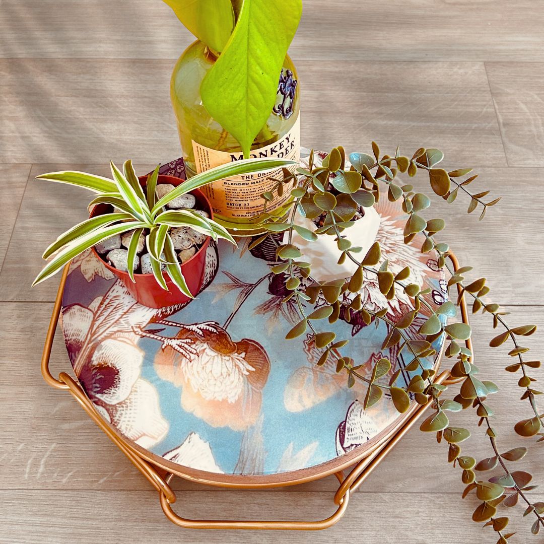 Cake Stand with Bird and flower print on a blue backdrop. The stand has an interlinked chain design in brushed gold. There are 3 plants placed on it.