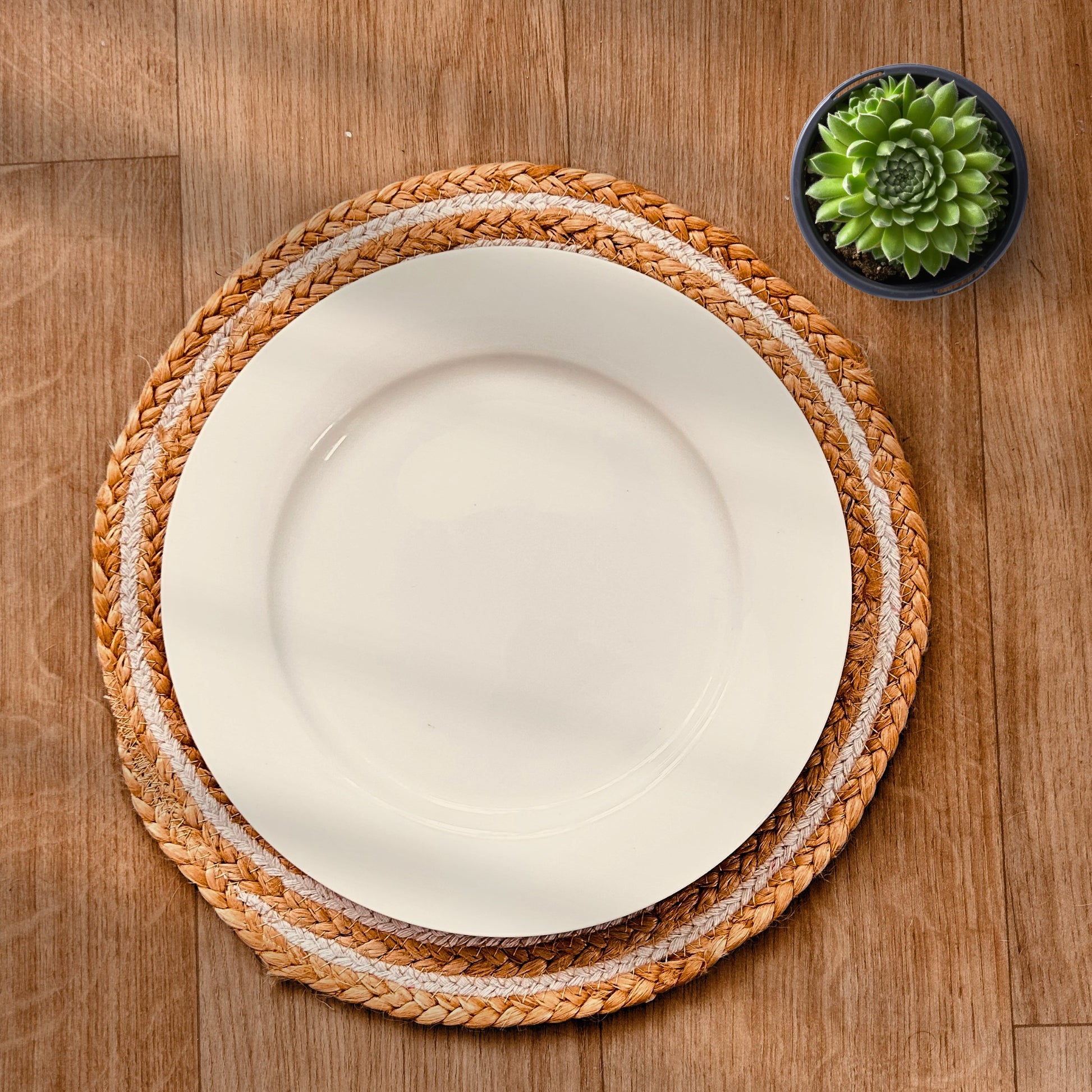 100% Natural Round Jute and Cotton Braided Placemat in brown and white stripes with a white dinner plate kept on top. It is kept on a wooden base with a succulent next to it.