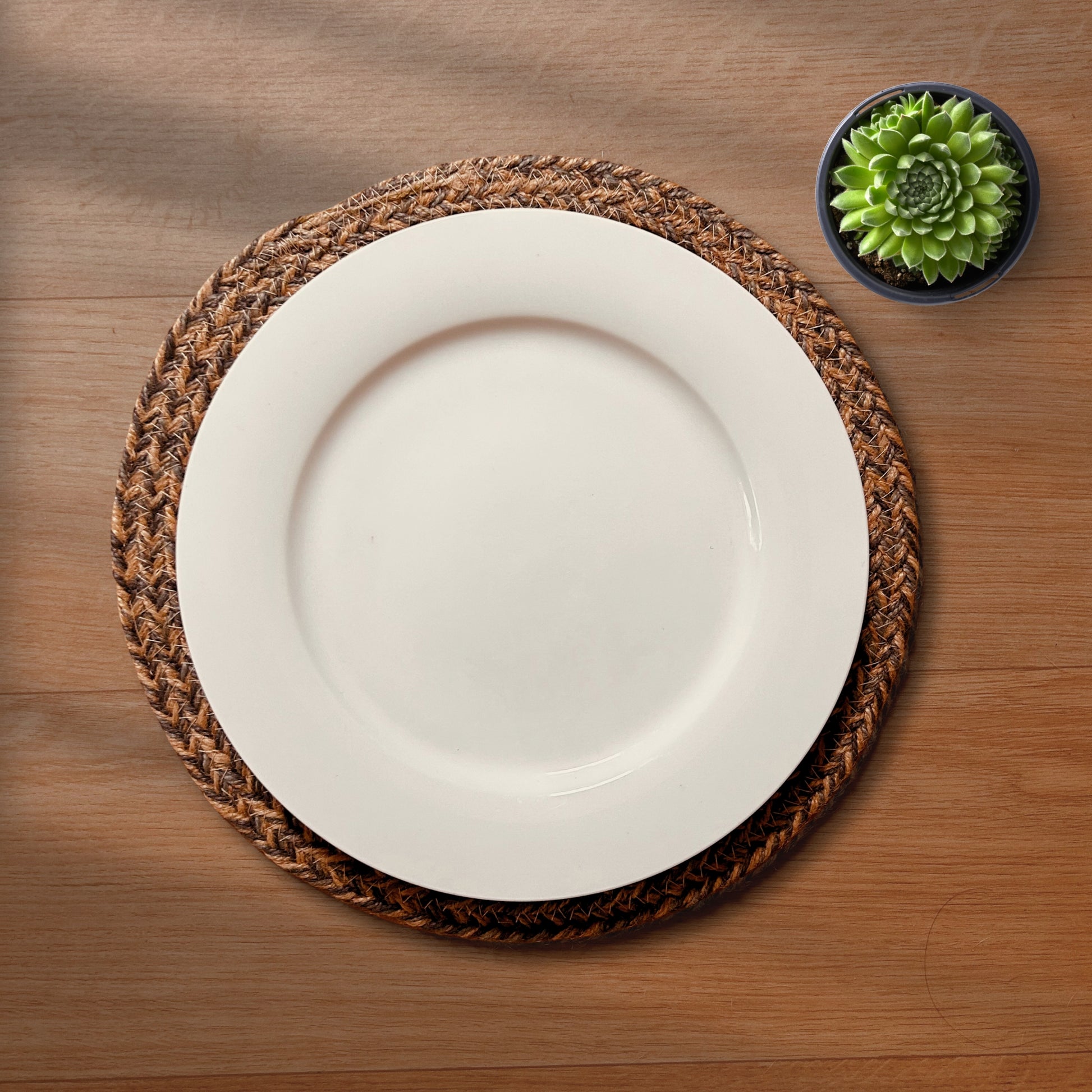 100% Jute placemat with a white dinner plate kept on it placed on a wooden backdrop with a succulent on the side