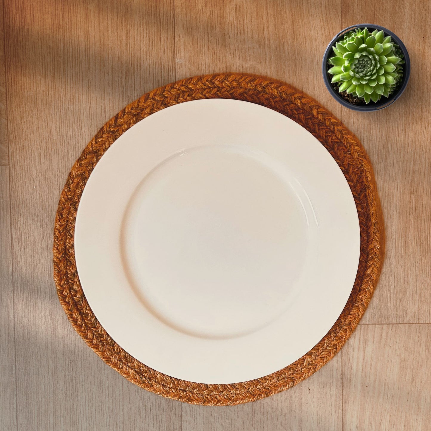 100% Jute placemat with a white dinner plate kept on it placed on a wooden backdrop with a succulent on the side